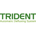 Trident Logo